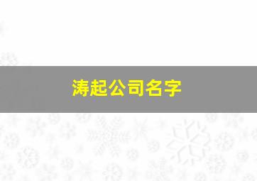 涛起公司名字