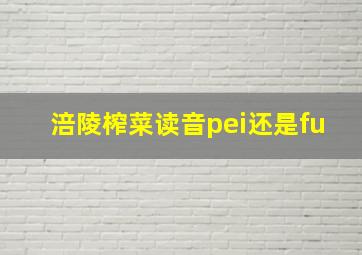 涪陵榨菜读音pei还是fu