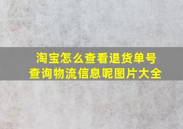 淘宝怎么查看退货单号查询物流信息呢图片大全