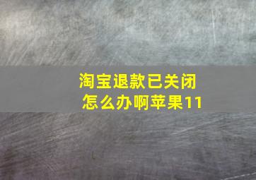 淘宝退款已关闭怎么办啊苹果11