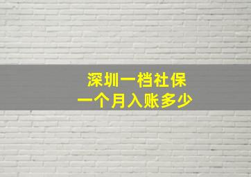 深圳一档社保一个月入账多少