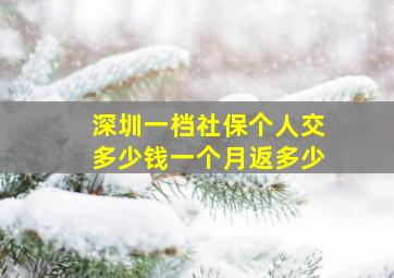 深圳一档社保个人交多少钱一个月返多少