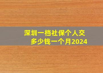 深圳一档社保个人交多少钱一个月2024