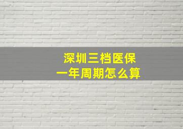 深圳三档医保一年周期怎么算