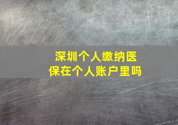 深圳个人缴纳医保在个人账户里吗