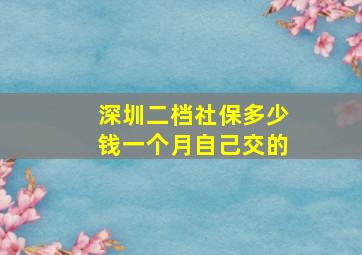 深圳二档社保多少钱一个月自己交的