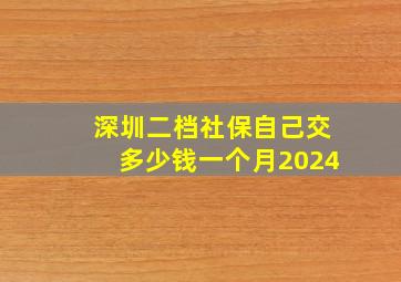 深圳二档社保自己交多少钱一个月2024