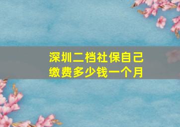 深圳二档社保自己缴费多少钱一个月