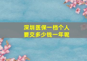 深圳医保一档个人要交多少钱一年呢