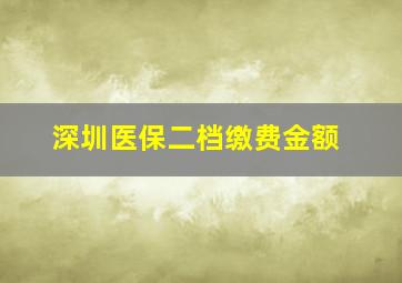 深圳医保二档缴费金额