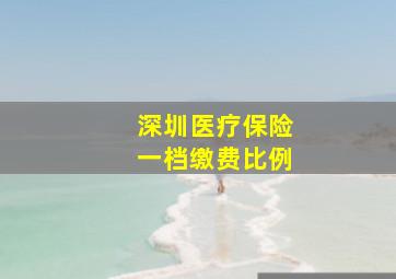 深圳医疗保险一档缴费比例