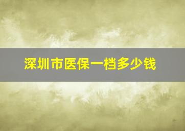 深圳市医保一档多少钱