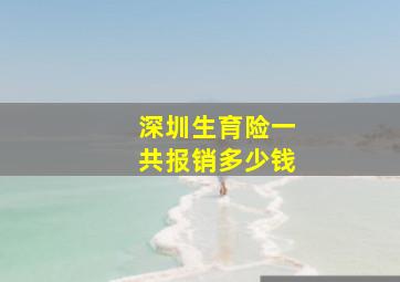 深圳生育险一共报销多少钱