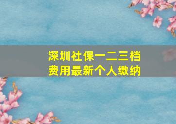 深圳社保一二三档费用最新个人缴纳