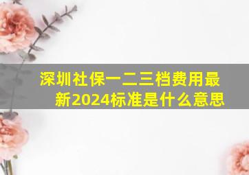 深圳社保一二三档费用最新2024标准是什么意思