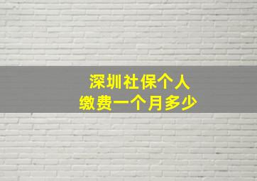 深圳社保个人缴费一个月多少