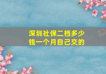 深圳社保二档多少钱一个月自己交的