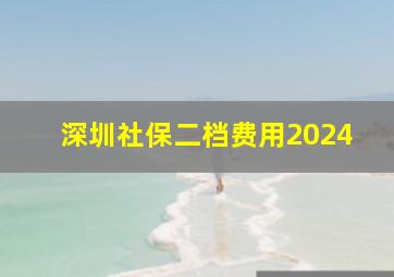 深圳社保二档费用2024