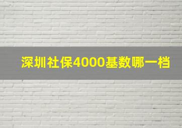 深圳社保4000基数哪一档