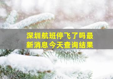 深圳航班停飞了吗最新消息今天查询结果