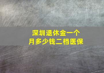 深圳退休金一个月多少钱二档医保