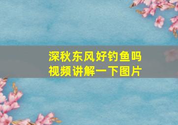 深秋东风好钓鱼吗视频讲解一下图片