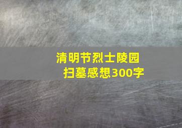 清明节烈士陵园扫墓感想300字