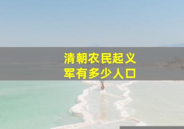 清朝农民起义军有多少人口