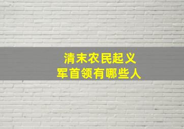 清末农民起义军首领有哪些人