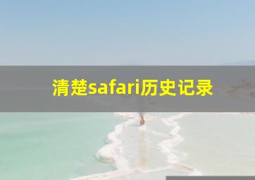 清楚safari历史记录