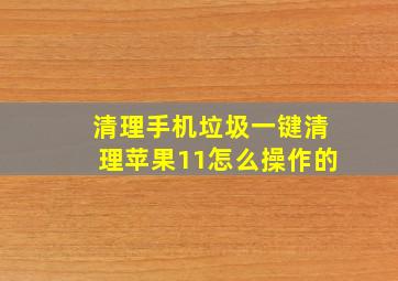 清理手机垃圾一键清理苹果11怎么操作的