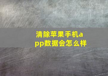 清除苹果手机app数据会怎么样