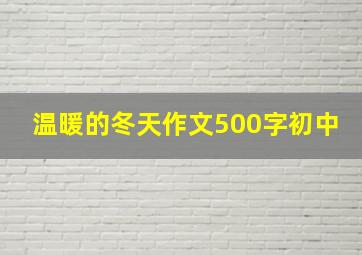 温暖的冬天作文500字初中