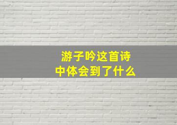 游子吟这首诗中体会到了什么