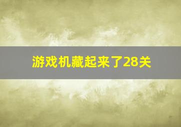 游戏机藏起来了28关