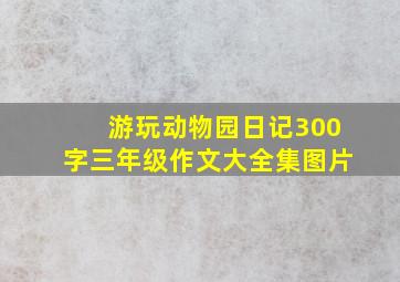 游玩动物园日记300字三年级作文大全集图片