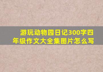 游玩动物园日记300字四年级作文大全集图片怎么写