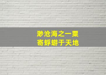 渺沧海之一粟 寄蜉蝣于天地