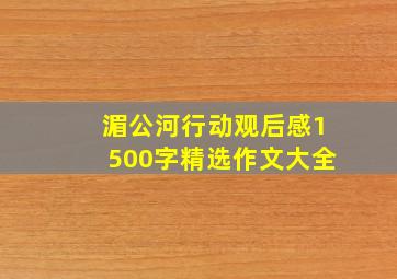 湄公河行动观后感1500字精选作文大全