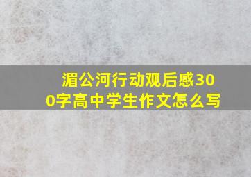 湄公河行动观后感300字高中学生作文怎么写