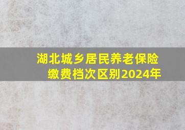 湖北城乡居民养老保险缴费档次区别2024年