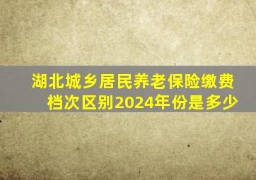 湖北城乡居民养老保险缴费档次区别2024年份是多少