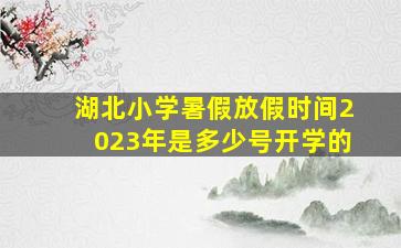 湖北小学暑假放假时间2023年是多少号开学的