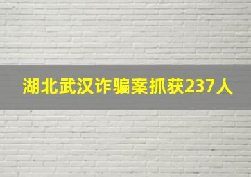 湖北武汉诈骗案抓获237人