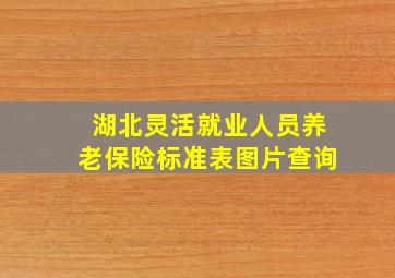 湖北灵活就业人员养老保险标准表图片查询