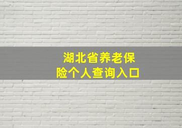 湖北省养老保险个人查询入口