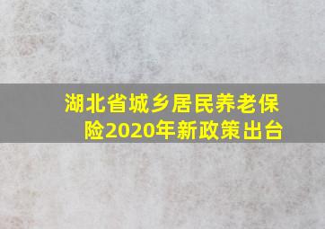 湖北省城乡居民养老保险2020年新政策出台