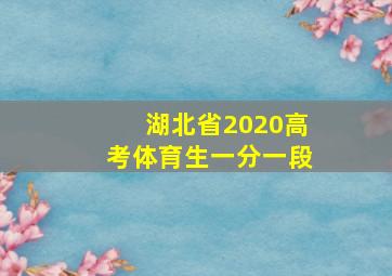 湖北省2020高考体育生一分一段