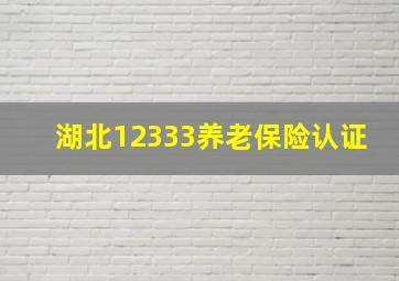 湖北12333养老保险认证