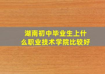 湖南初中毕业生上什么职业技术学院比较好